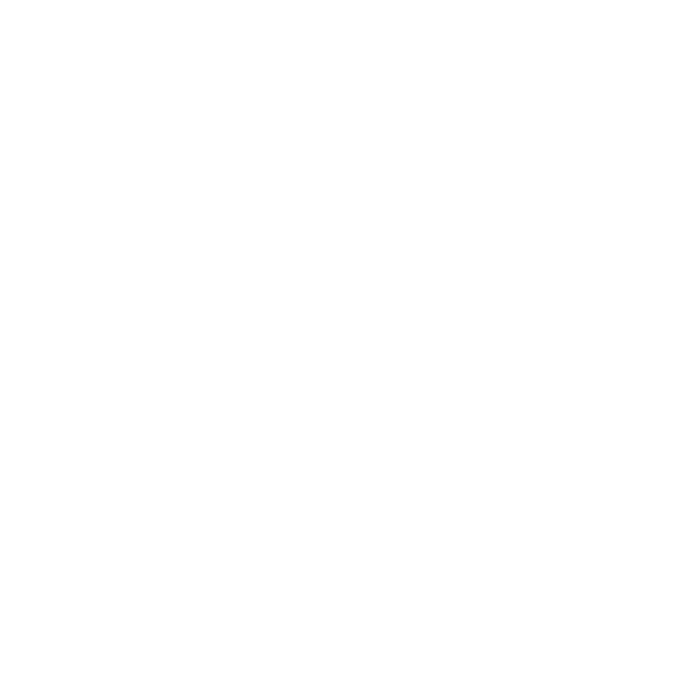 Churraskinho